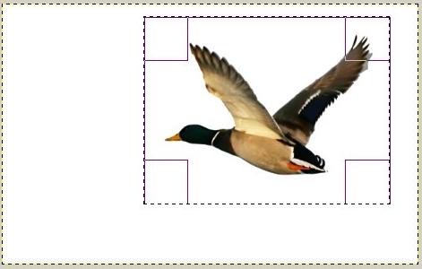 pic-4