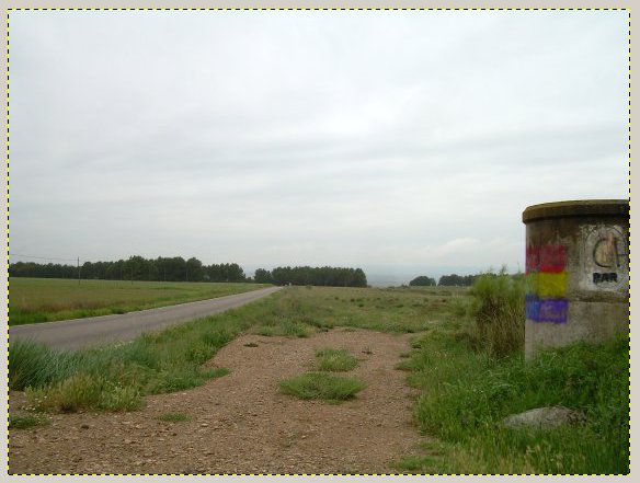 11-cvetokorrekcia-v-gimpe