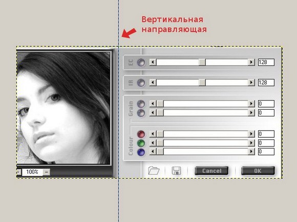 03_guides