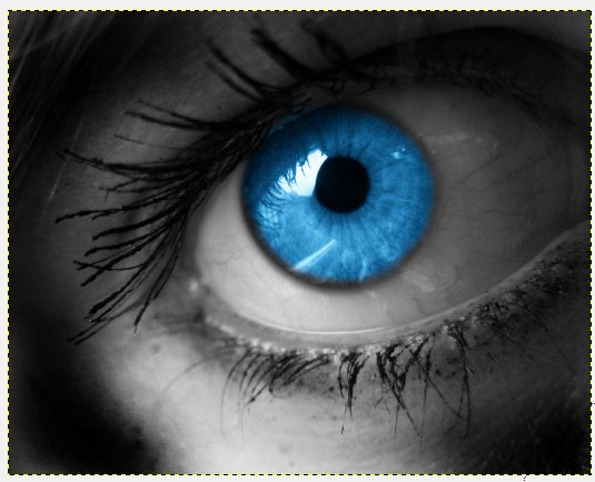 14_magic-eye